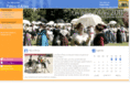 fetes-arles.com
