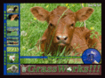 grassworks.net
