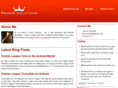 princesolutions.ie
