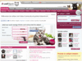 catspot.ch
