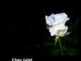 chez-jalet.com