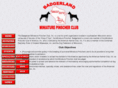 badgerlandminpin.com