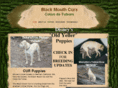 curcoton.com