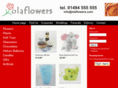 flowertwins.com