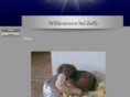 melisch.net