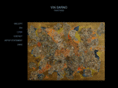 vinsarno.com