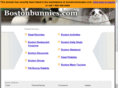 bostonbunnies.com