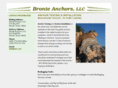 bronteanchors.com