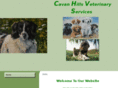 cavanhillsvet.com