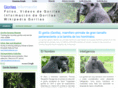 gorilas.info
