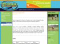 greenvilleultimate.com