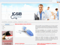 icsib.com