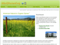 blackmustard.org