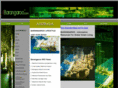 ibarangaroo.com