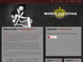 mingosaldivartx.com