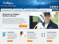 culligannorthernillinois.com