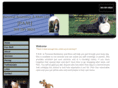 personalassistanceandmore.com