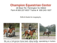 championequestrian.com