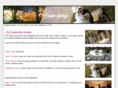 cedarspringscountryestate.com