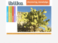 ibiika.com