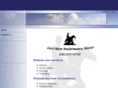 leviolsonhorses.com
