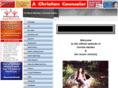 conniehanten.com
