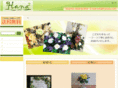 hana2s.com