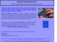 mclaneconsultingservices.com