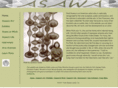 ruthasawa.com
