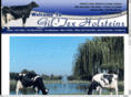 giltexholsteins.com