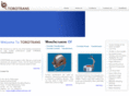 toroidaltransformers.net
