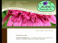 cavanos.com