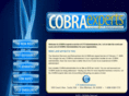 cobraexperts.com