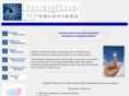 imagineitsolutions.com