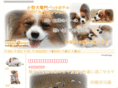 puppies-angel.net
