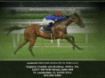 tfb-horsevets.com