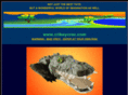 crikeycroc.com