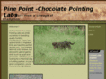 pointinglabtx.com