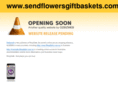 sendflowersgiftbaskets.com