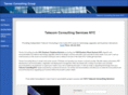 tannerconsulting.net