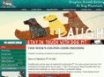 dogmt.com