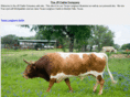 jrcattle.com
