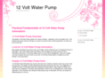 12vwaterpump.com