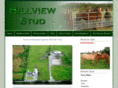 hillviewstud.com