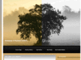 rayleane.com