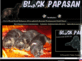 blackpapasan.net