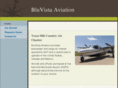 bluevistaaviation.com