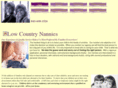 charlestonnannies.com