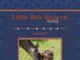 littlebitsheaven.com