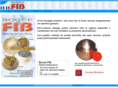 boccefib.com